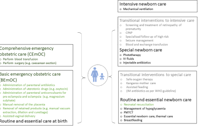 Categorising interventions to levels of inpatient care for small and sick newborns: Findings from a global survey